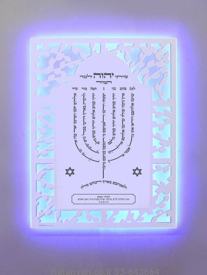 Lamnatzeach Illuminated Board-White