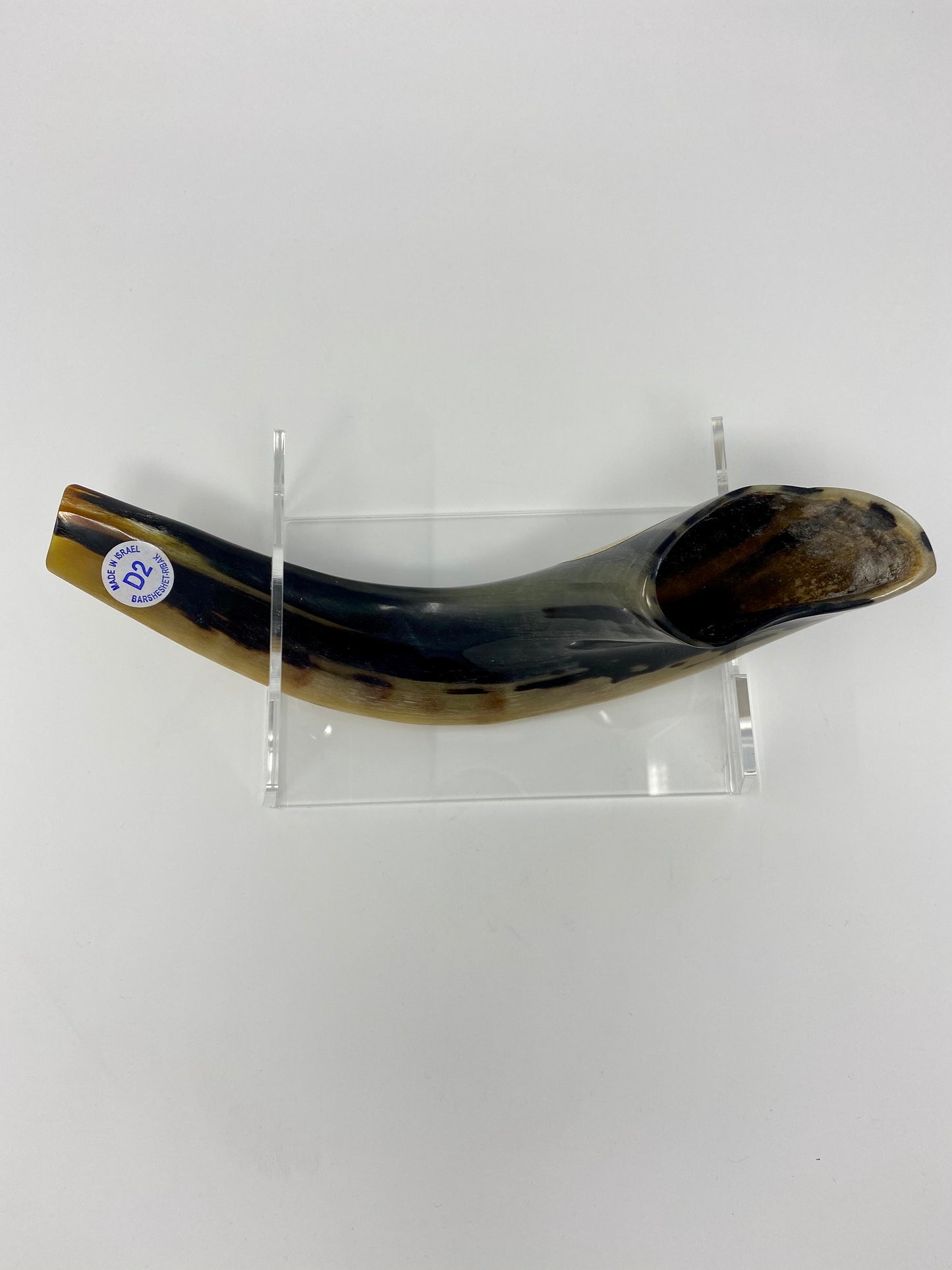 Shofar Size 2