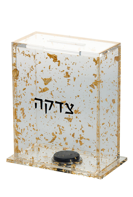 Lucite Metallic Flakes Tzedakah Box