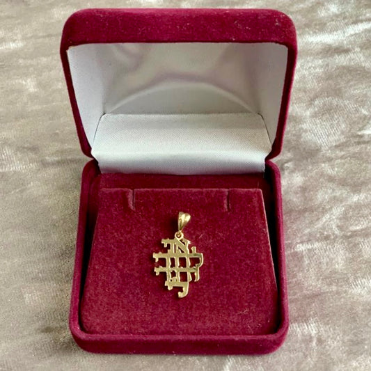 Ani LeDodi gold pendant