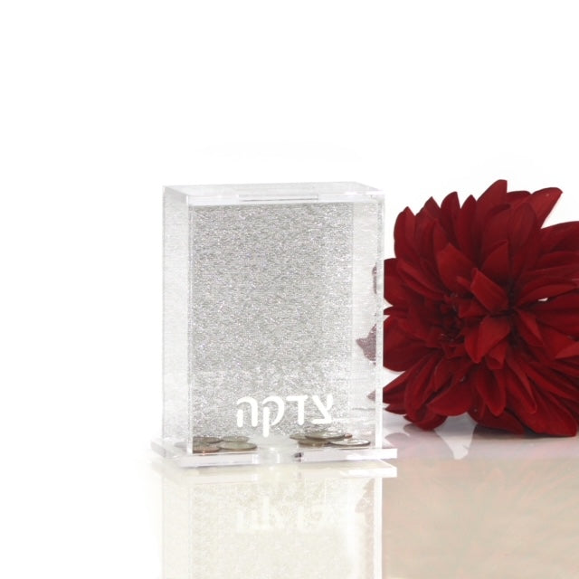 Silver Glitter Tzedakah Box-Clear