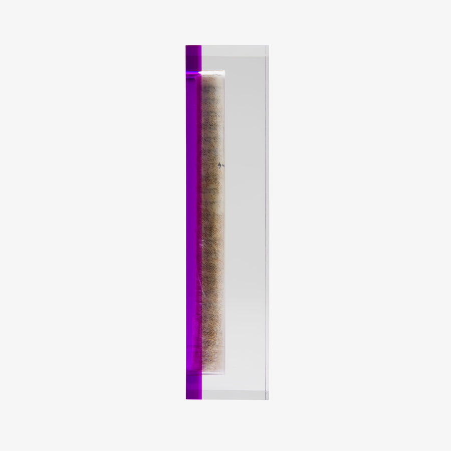 Purple Acrylic Apeloig Mezuzah Case