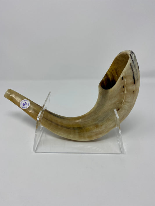 Shofar Size 4