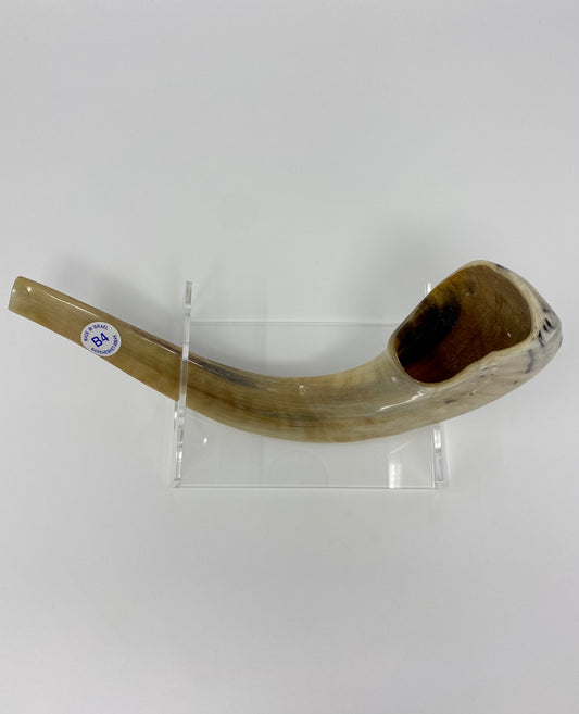 Shofar Size 4