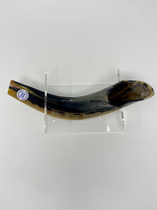 Shofar Size 2