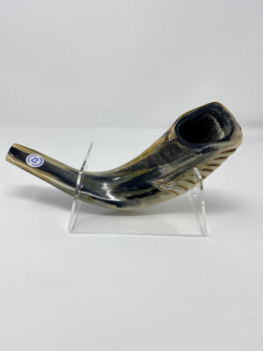 Shofar Size 3