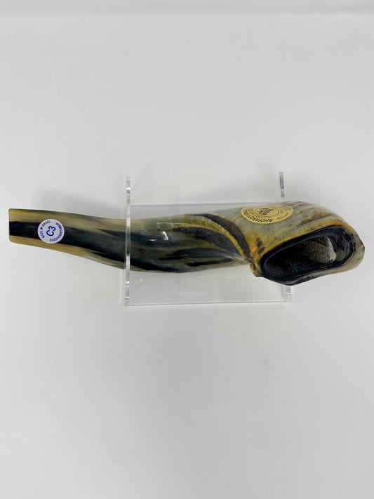 Shofar Size 3