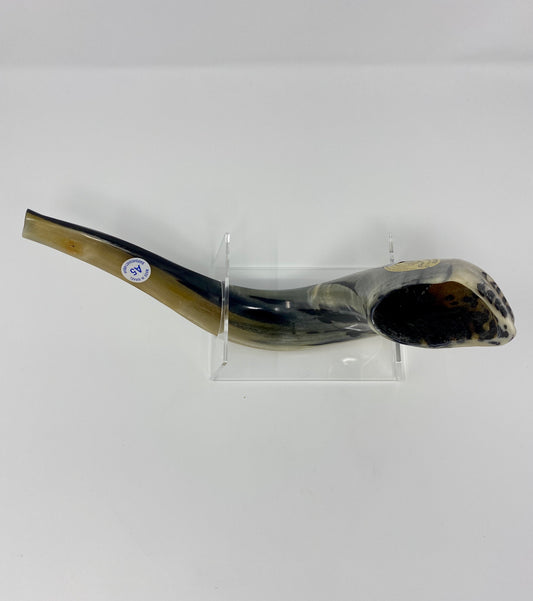 Shofar Size 5