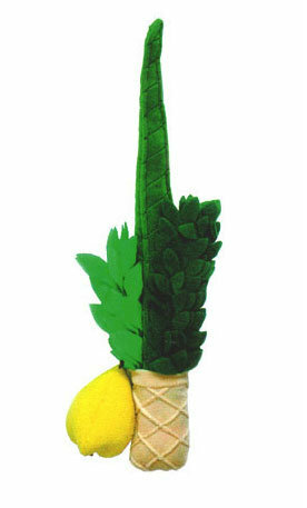 Stuffed Lulav and Etrog Toy